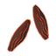 Tonka Bean