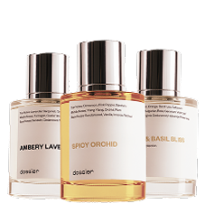 Todos Los <br> perfumes