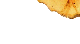 6,000,000+ Frascos