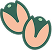 Pistache