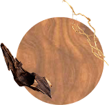 Familia de Fragancias - Earthy